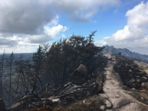 The ridge path after the fire